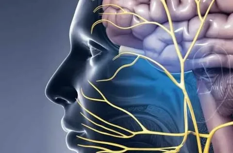 What’s new in treating and managing trigeminal neuralgia?
