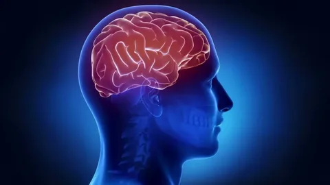 Breaking Down Brain Tumors: Understanding Symptoms, Treatments and Research